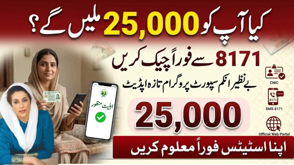 BISP 8171 Check Online 25000 Payment Status Update Complete Eligibility Verification Guide