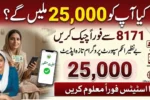 BISP 8171 Check Online 25000 Payment Status Update Complete Eligibility Verification Guide
