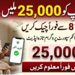 BISP 8171 Check Online 25000 Payment Status Update Complete Eligibility Verification Guide
