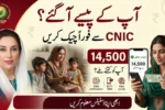 BISP Check Balance Online by CNIC 2026 Payment Status and Eligibility