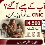 BISP Check Balance Online by CNIC 2026 Payment Status and Eligibility